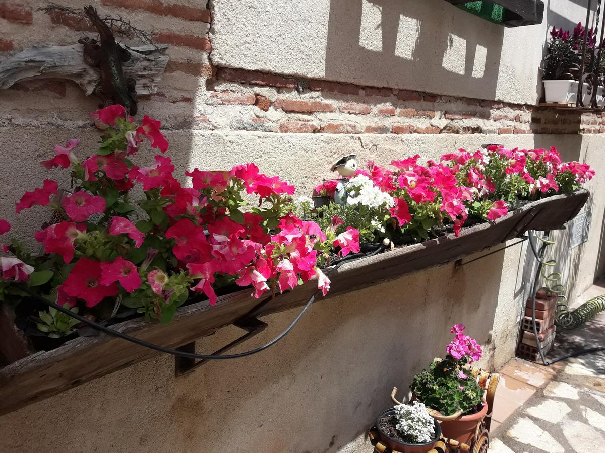 Horcajo de las Torres Casa Rural La Casa De Las Manuelas מראה חיצוני תמונה